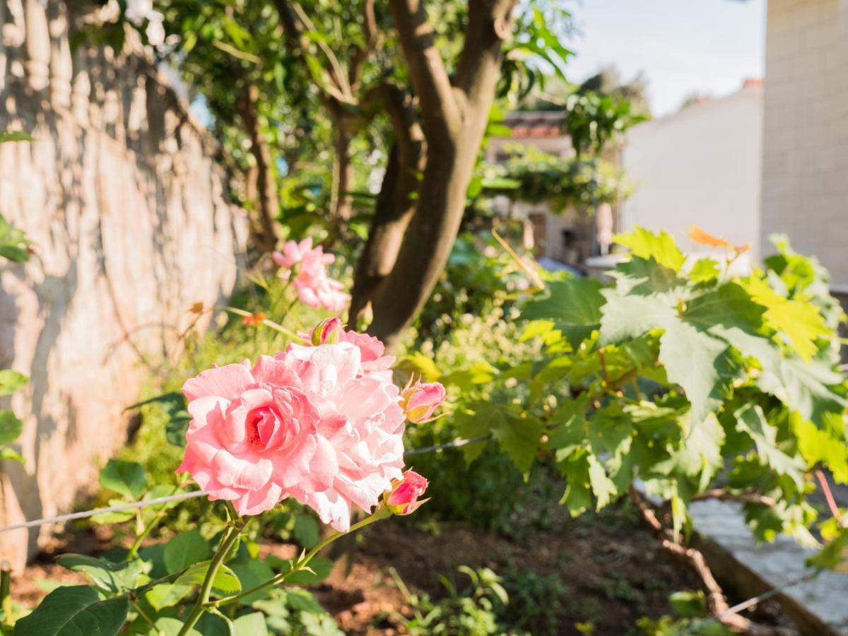 Rezevici Boutique Villa Petrovac 外观 照片